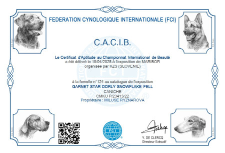 CACIB Maribor 19.4.2025